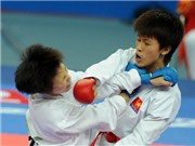 Bóng đá anh, ngoại hạng anh, lịch thi đấu euro 2012, Karatedo: Nguyệt Ánh mất vàng